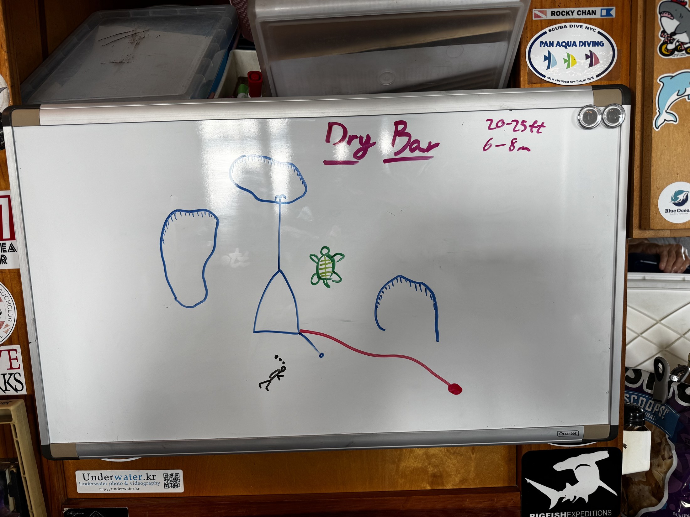 A Dolphin Dream whiteboard showing a shallow dive-site sketch, turtle drawing, boat line, and depth notes.