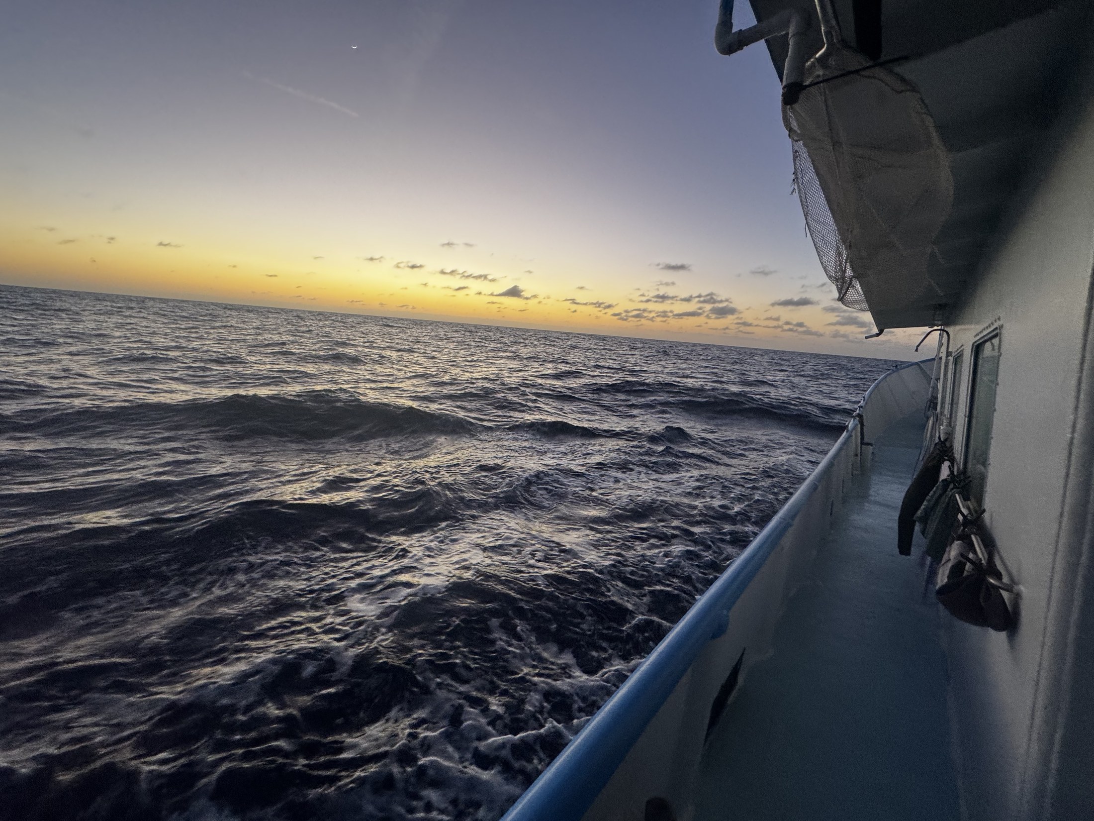 A soft dawn sky and ocean horizon from the side of Dolphin Dream.