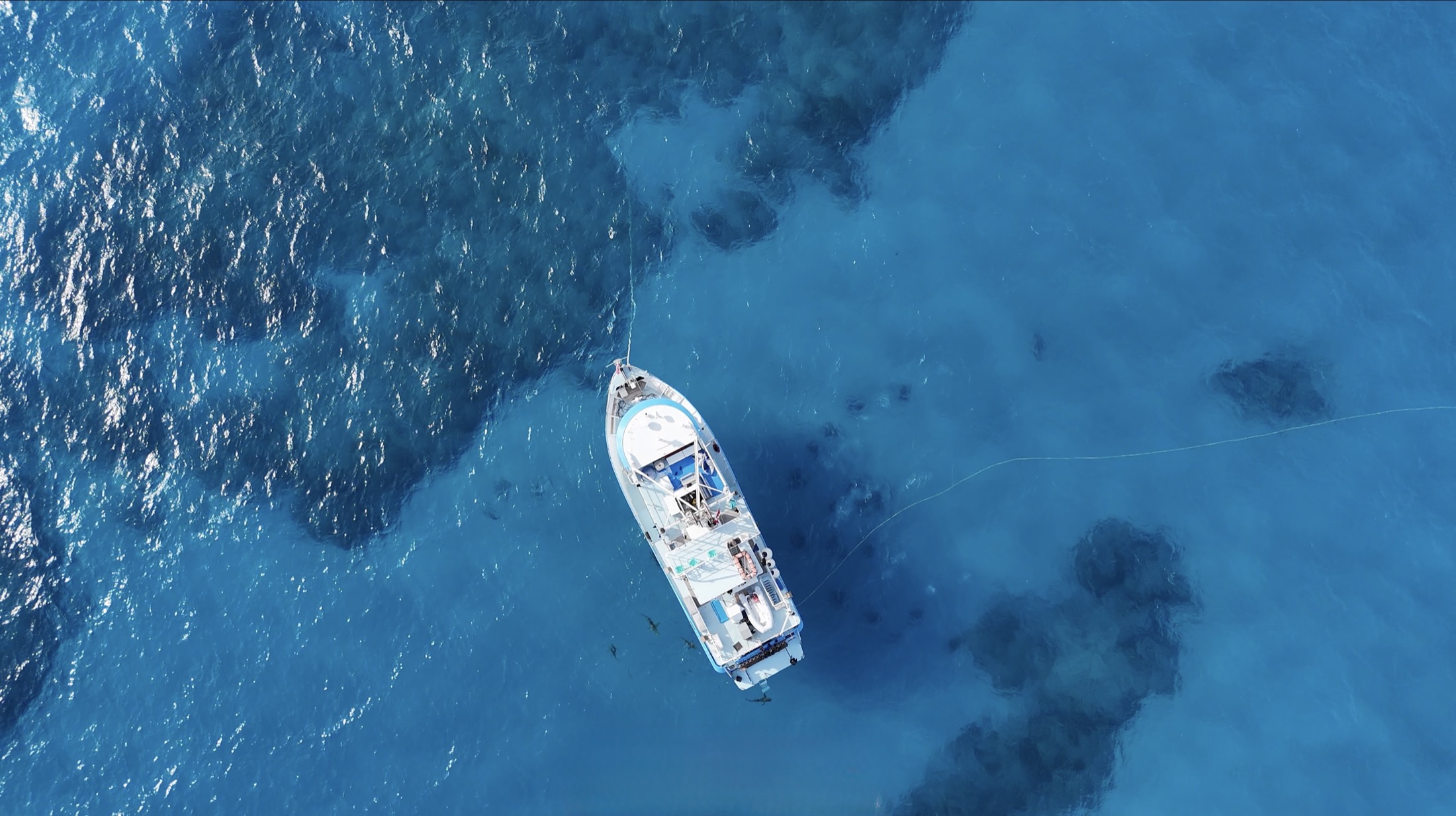 Dolphin Dream seen from above in clear blue Bahamian water.