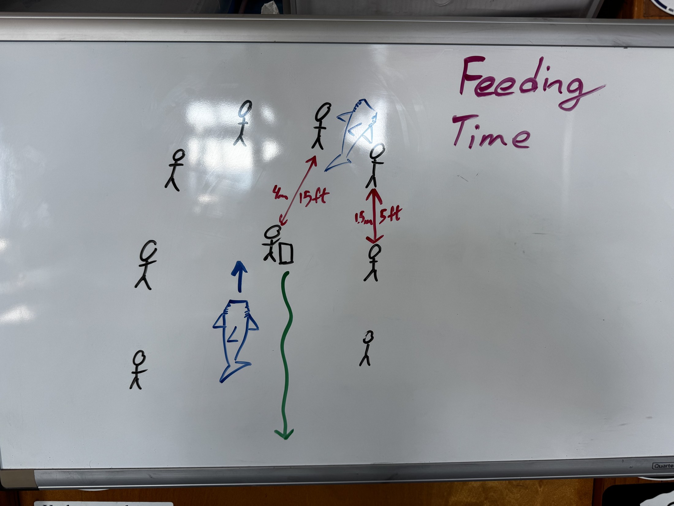 A Dolphin Dream briefing board showing divers, a shark, arrows, and feeding-time distance markers.