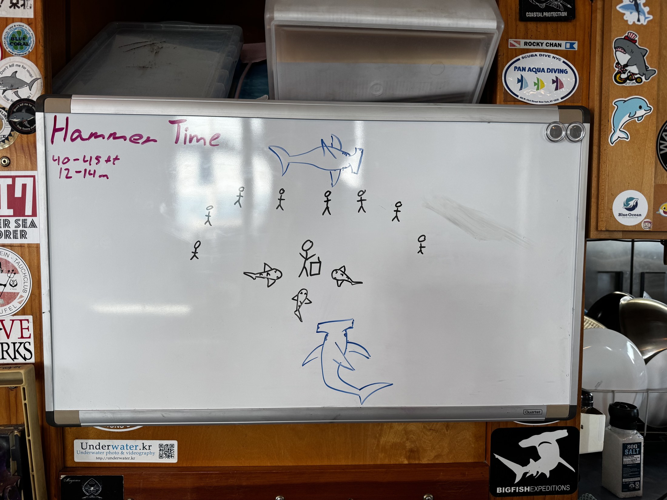 A Dolphin Dream whiteboard marked Hammer Time with a shark drawing, diver positions, and 40 to 45 ft depth notes.