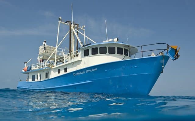 M/V Dolphin Dream liveaboard in the Bahamas.