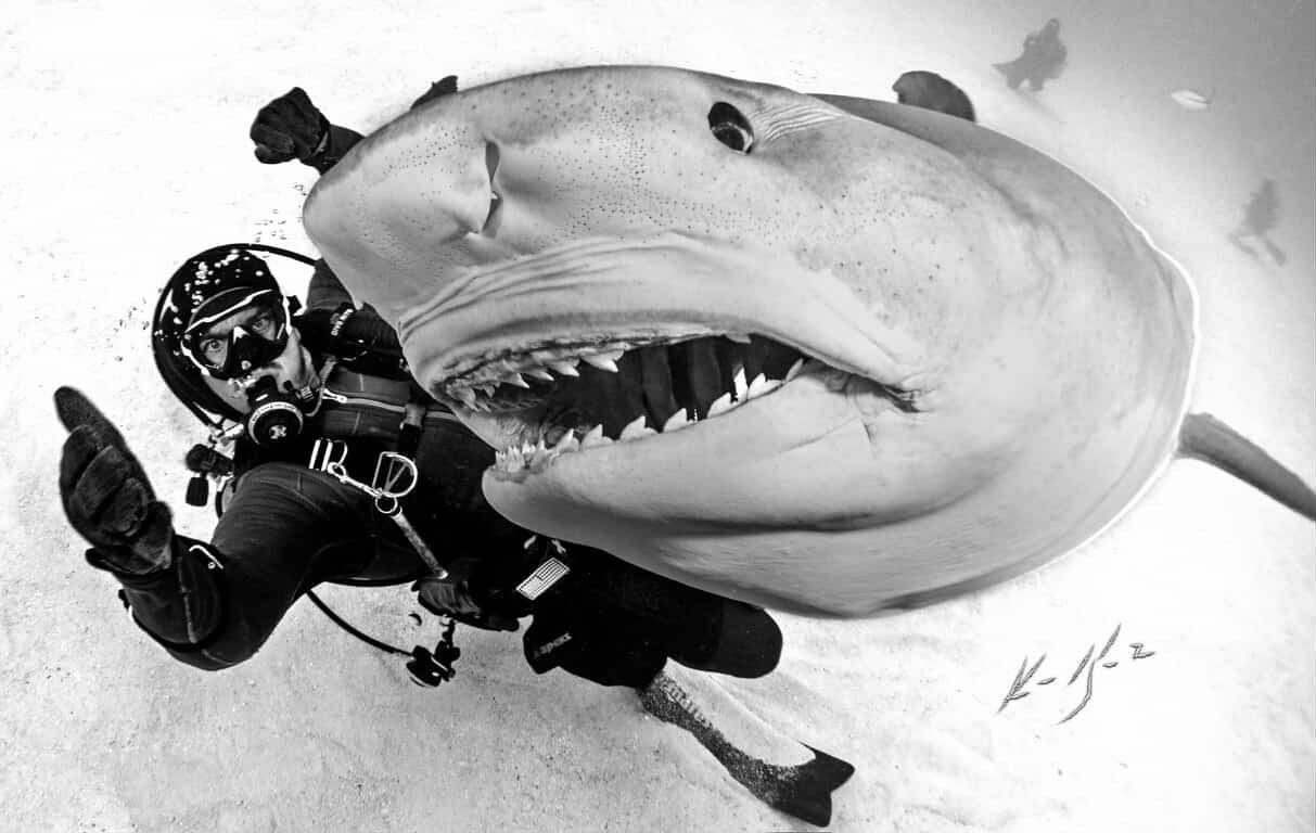 Jake, featured in Ocean People.