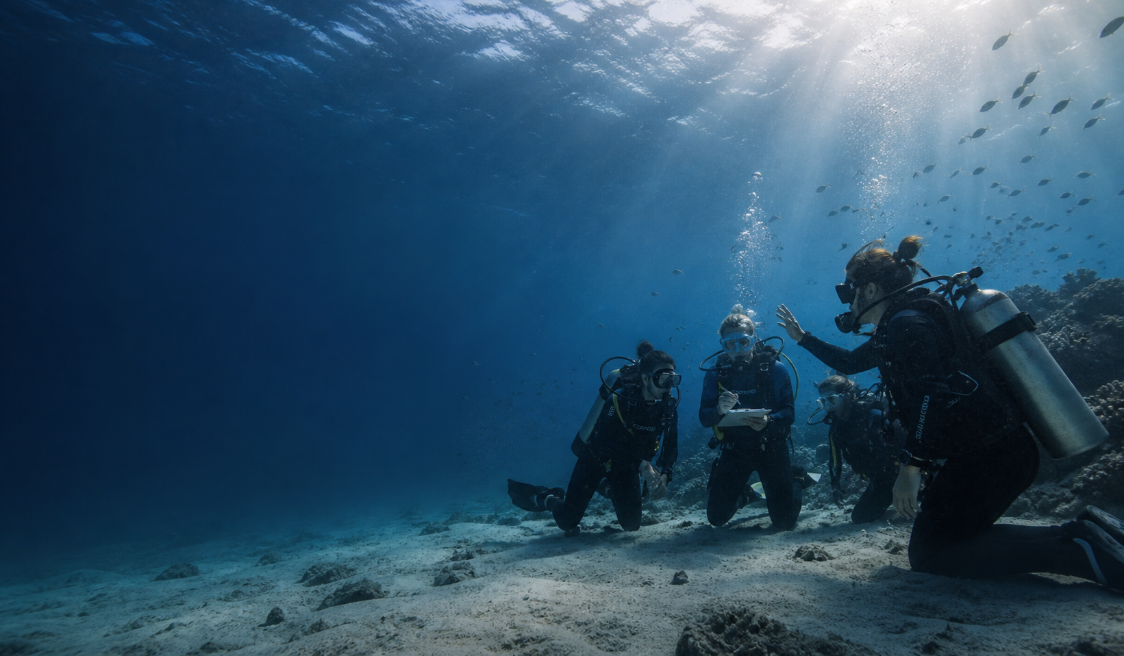 A team of divers moving together through blue water.